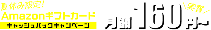 KAGOYA CLOUD VPS Amazonギフトカードキャッシュバックキャンペーン開催中！～8月31日まで